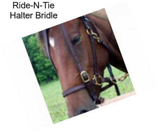 Ride-N-Tie Halter Bridle