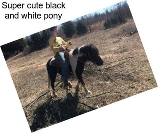 Super cute black and white pony