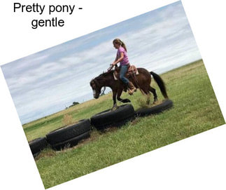 Pretty pony - gentle