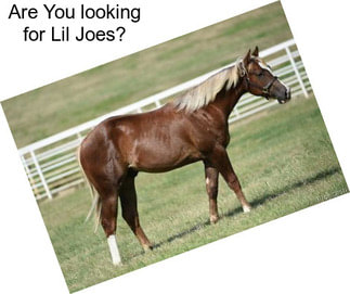 Are You looking for Lil Joes?
