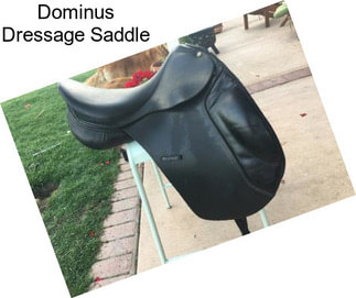 Dominus Dressage Saddle