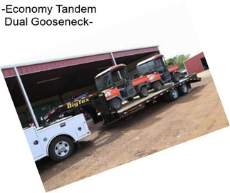 -Economy Tandem Dual Gooseneck-