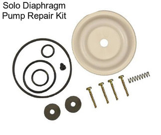 Solo Diaphragm Pump Repair Kit