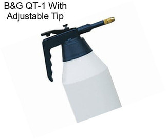 B&G QT-1 With Adjustable Tip