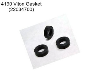 4190 Viton Gasket (22034700)