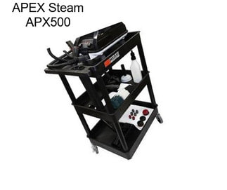 APEX Steam APX500