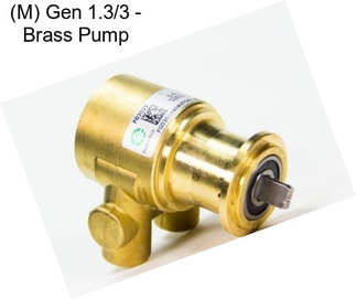 (M) Gen 1.3/3 - Brass Pump