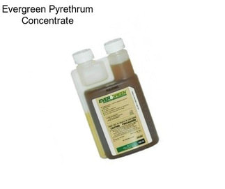 Evergreen Pyrethrum Concentrate