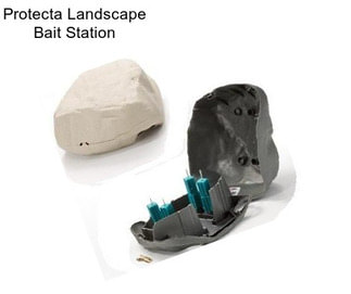 Protecta Landscape Bait Station