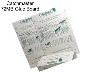 Catchmaster 72MB Glue Board