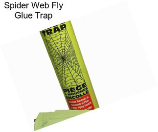 Spider Web Fly Glue Trap
