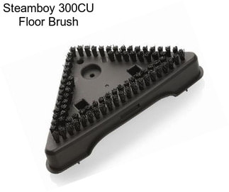 Steamboy 300CU Floor Brush