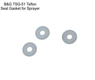B&G TSG-51 Teflon Seat Gasket for Sprayer