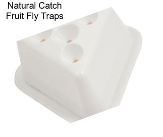 Natural Catch Fruit Fly Traps