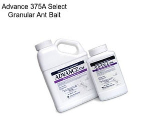 Advance 375A Select Granular Ant Bait