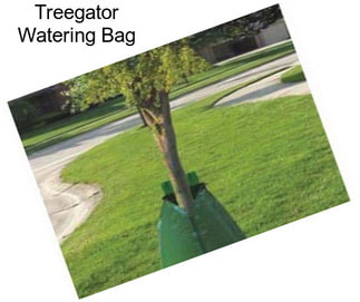 Treegator Watering Bag