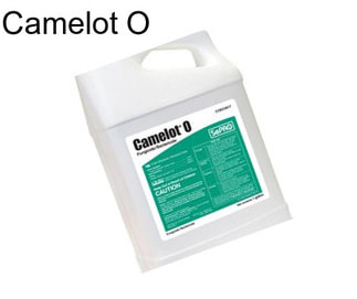 Camelot O