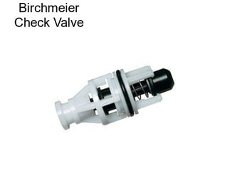 Birchmeier Check Valve