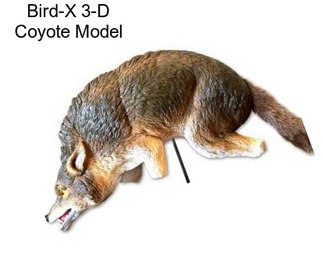 Bird-X 3-D Coyote Model