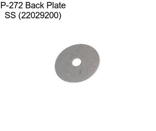 P-272 Back Plate SS (22029200)