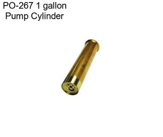PO-267 1 gallon Pump Cylinder