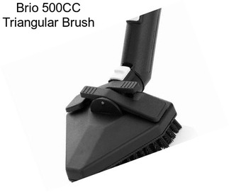 Brio 500CC Triangular Brush