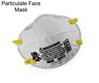 Particulate Face Mask