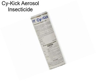Cy-Kick Aerosol Insecticide
