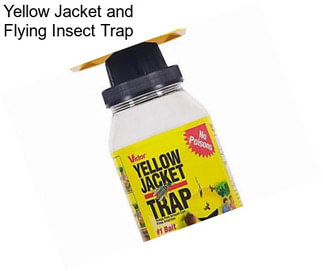 Yellow Jacket and Flying Insect Trap