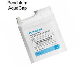 Pendulum AquaCap