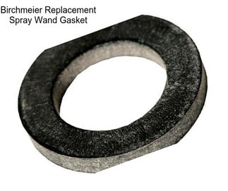 Birchmeier Replacement Spray Wand Gasket