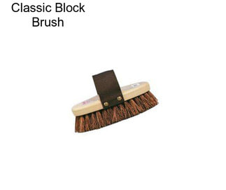 Classic Block Brush