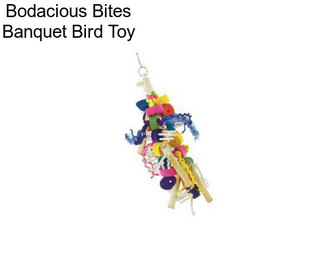 Bodacious Bites Banquet Bird Toy