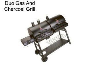 Duo Gas And Charcoal Grill