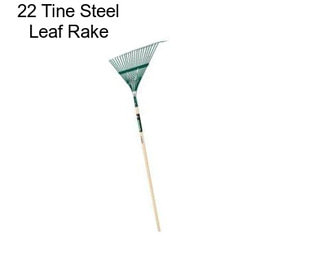 22 Tine Steel Leaf Rake