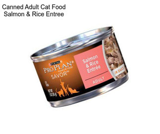 Canned Adult Cat Food Salmon & Rice Entree