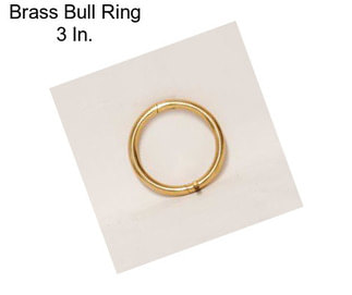 Brass Bull Ring 3 In.