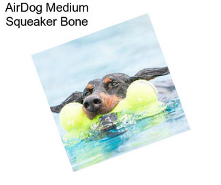 AirDog Medium Squeaker Bone