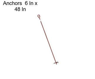 Anchors  6 In x 48 In