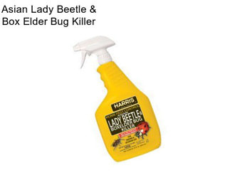 Asian Lady Beetle & Box Elder Bug Killer