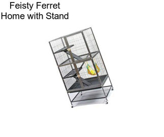 Feisty Ferret Home with Stand