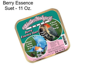 Berry Essence Suet - 11 Oz.