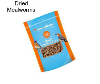 Dried Mealworms