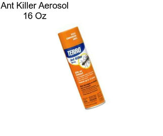 Ant Killer Aerosol 16 Oz