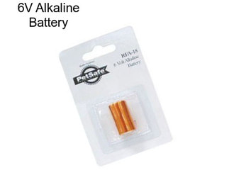 6V Alkaline Battery