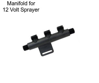 Manifold for 12 Volt Sprayer