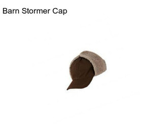 Barn Stormer Cap
