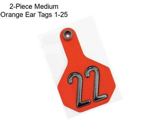 2-Piece Medium Orange Ear Tags 1-25