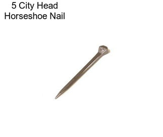 5 City Head Horseshoe Nail