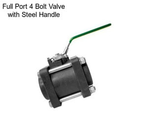 Full Port 4 Bolt Valve with Steel Handle